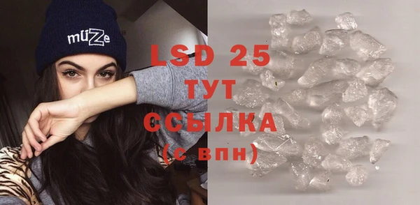 индика Хадыженск