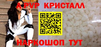 твердый Кингисепп