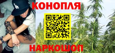 твердый Кингисепп