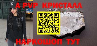 твердый Кингисепп