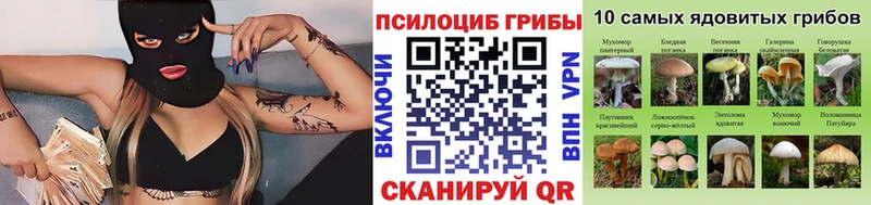 закладки  omg онион  Псилоцибиновые грибы мухоморы  Ярославль 