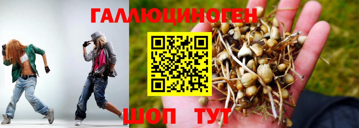 Ярославль  Псилоцибиновые грибы мицелий  Вход с VPN 